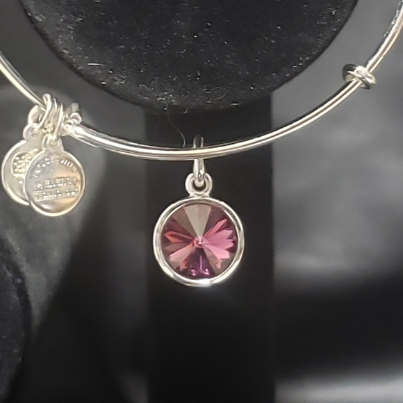 NWOT Alex & Ani RS February Swarovski Bracelet - Picture 4 of 11